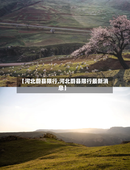 【河北蔚县限行,河北蔚县限行最新消息】