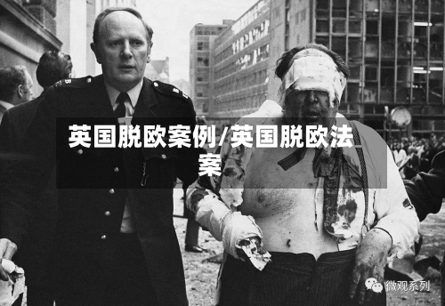 英国脱欧案例/英国脱欧法案-第2张图片