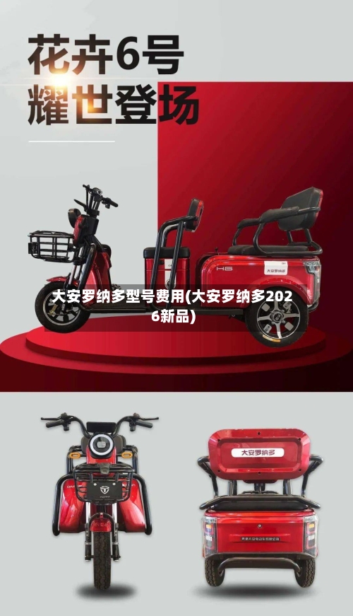 大安罗纳多型号费用(大安罗纳多2026新品)