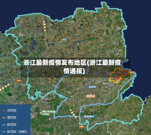 浙江最新疫情发布地区(浙江最新疫情通报)-第2张图片