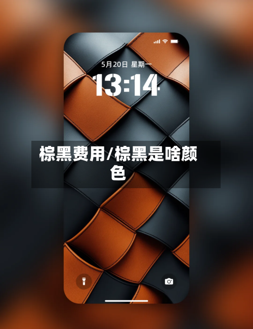 棕黑费用/棕黑是啥颜色-第2张图片