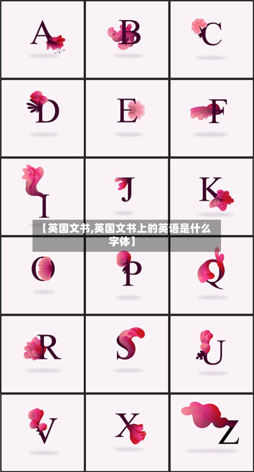 【英国文书,英国文书上的英语是什么字体】-第2张图片