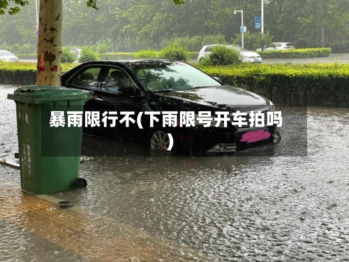 暴雨限行不(下雨限号开车拍吗)-第2张图片