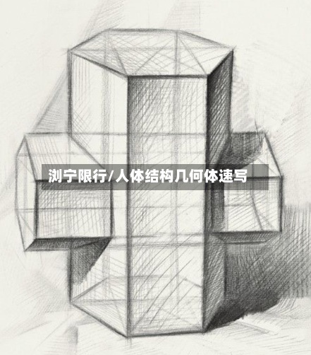 浏宁限行/人体结构几何体速写-第3张图片