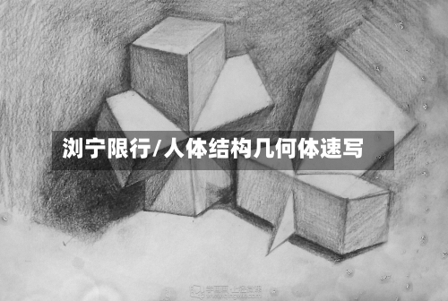 浏宁限行/人体结构几何体速写-第2张图片
