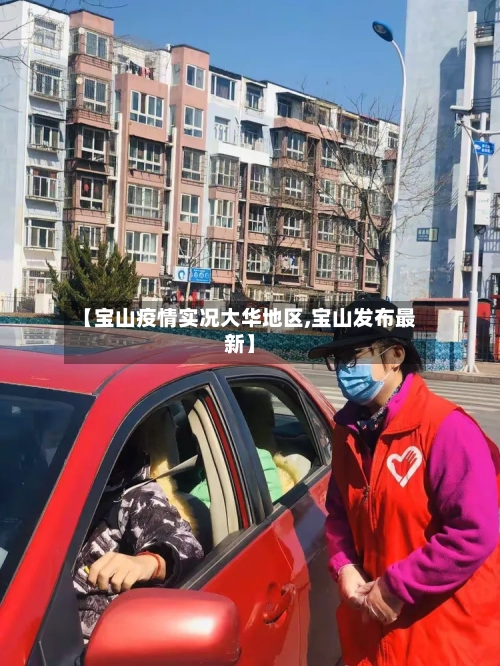 【宝山疫情实况大华地区,宝山发布最新】-第2张图片