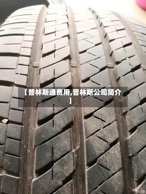 【普林斯通费用,普林斯公司简介】-第3张图片