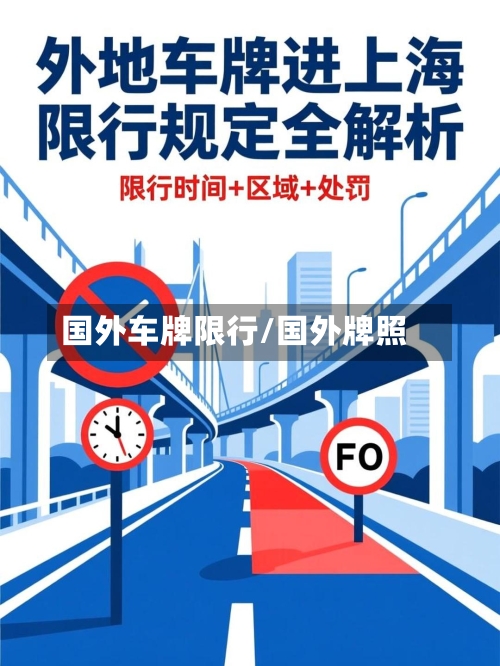 国外车牌限行/国外牌照