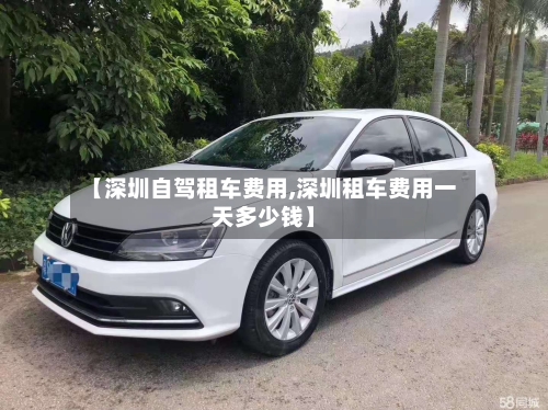 【深圳自驾租车费用,深圳租车费用一天多少钱】-第3张图片