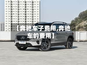 【奔驰车子费用,奔驰车的费用】-第3张图片