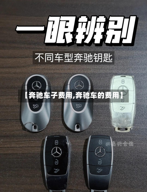 【奔驰车子费用,奔驰车的费用】