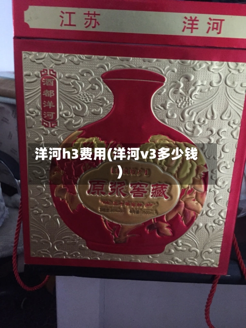 洋河h3费用(洋河v3多少钱)-第2张图片