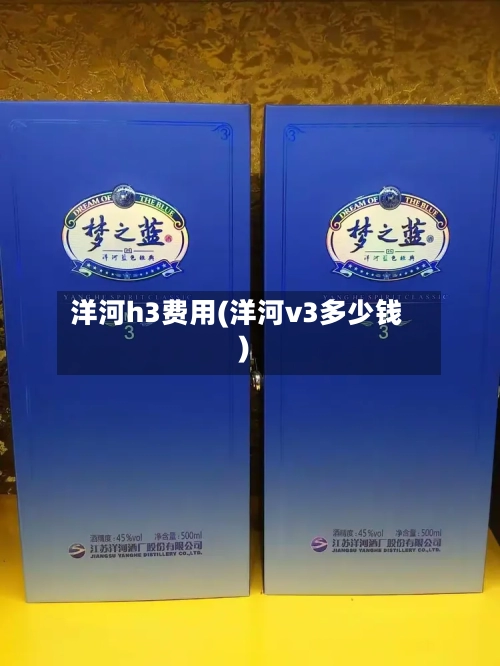 洋河h3费用(洋河v3多少钱)