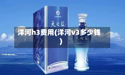 洋河h3费用(洋河v3多少钱)-第3张图片