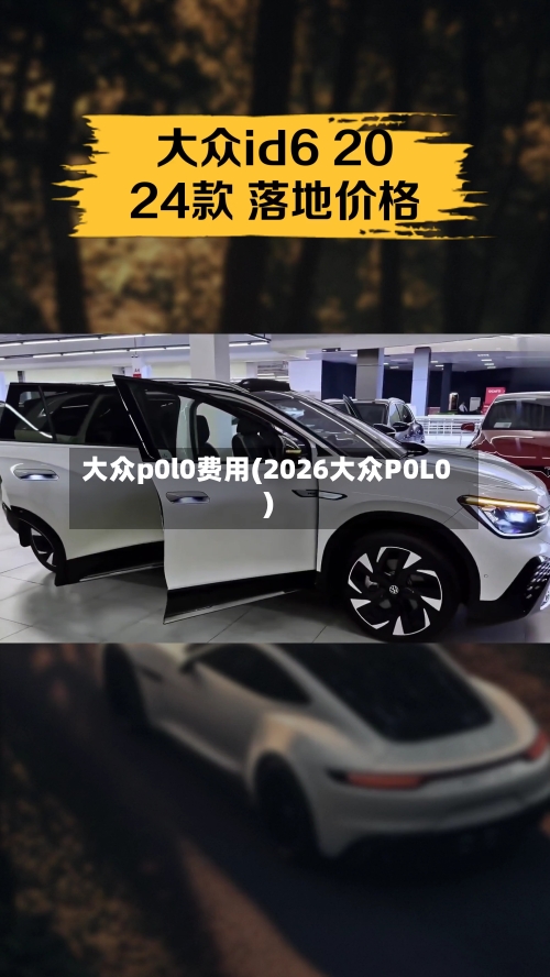 大众p0l0费用(2026大众P0L0)-第3张图片