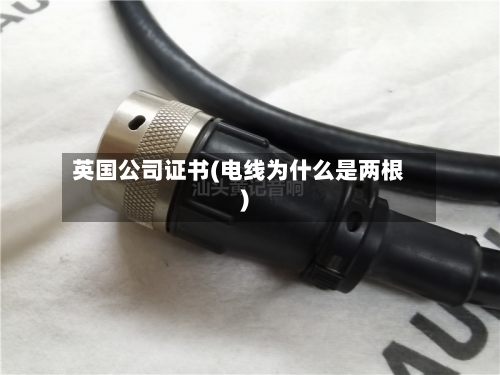 英国公司证书(电线为什么是两根)-第3张图片