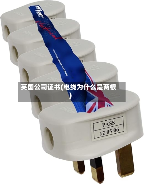 英国公司证书(电线为什么是两根)