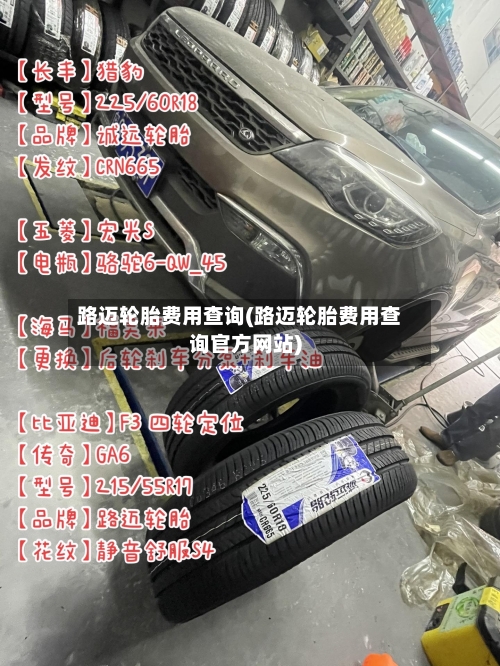 路迈轮胎费用查询(路迈轮胎费用查询官方网站)