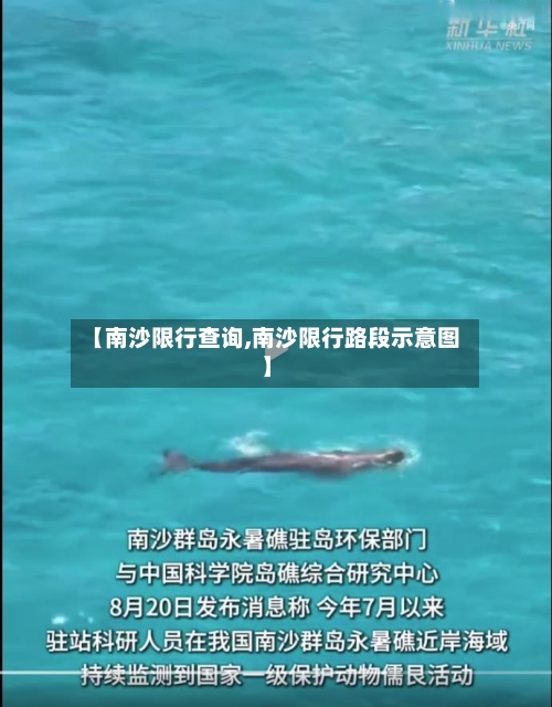 【南沙限行查询,南沙限行路段示意图】-第3张图片