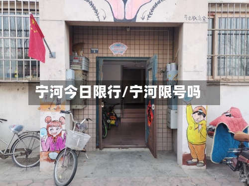 宁河今日限行/宁河限号吗-第2张图片
