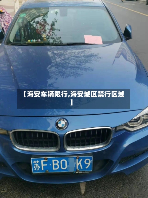 【海安车辆限行,海安城区禁行区域】