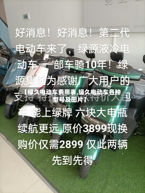【绿久电动车费用表,绿久电动车各种型号及图片】