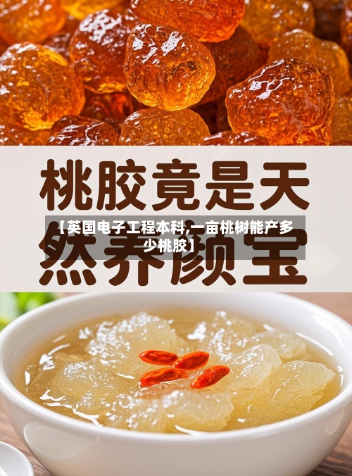 【英国电子工程本科,一亩桃树能产多少桃胶】