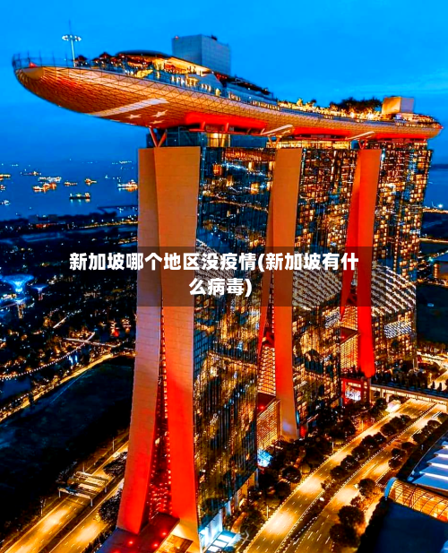 新加坡哪个地区没疫情(新加坡有什么病毒)