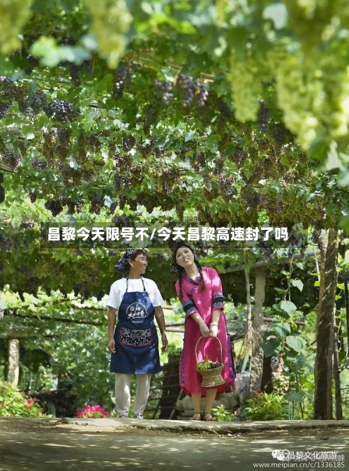 昌黎今天限号不/今天昌黎高速封了吗-第3张图片