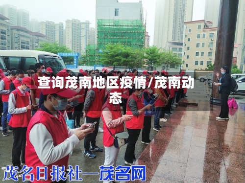 查询茂南地区疫情/茂南动态