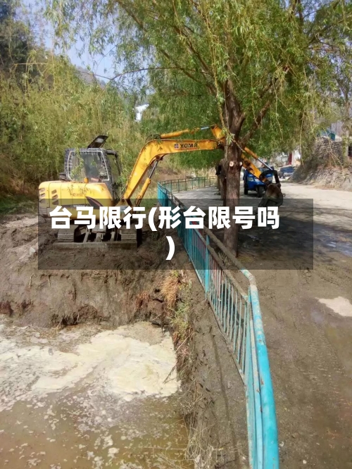 台马限行(形台限号吗)-第2张图片