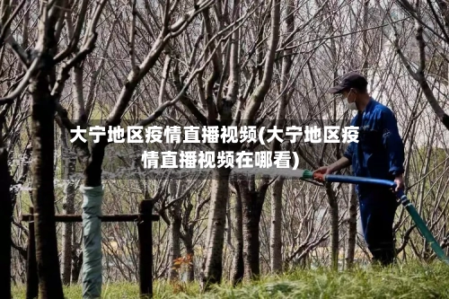 大宁地区疫情直播视频(大宁地区疫情直播视频在哪看)-第3张图片