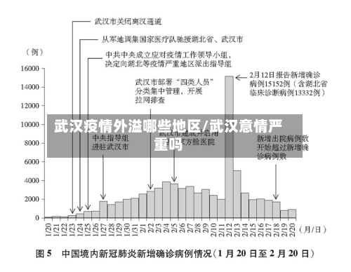 武汉疫情外溢哪些地区/武汉意情严重吗-第3张图片