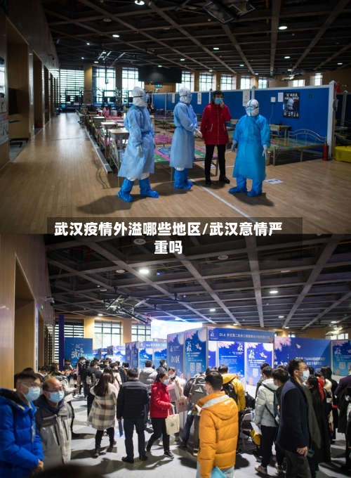 武汉疫情外溢哪些地区/武汉意情严重吗-第2张图片