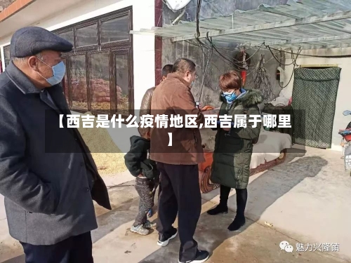 【西吉是什么疫情地区,西吉属于哪里】-第3张图片