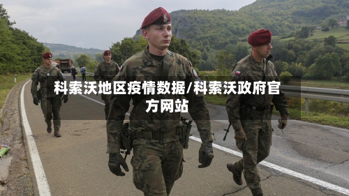 科索沃地区疫情数据/科索沃政府官方网站-第3张图片