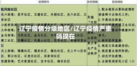 辽宁疫情分级地区/辽宁疫情严重吗现在