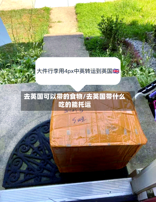 去英国可以带的食物/去英国带什么吃的能托运