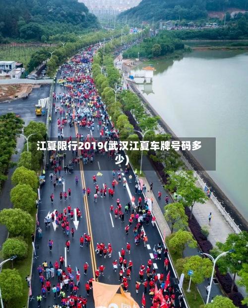 江夏限行2019(武汉江夏车牌号码多少)-第2张图片
