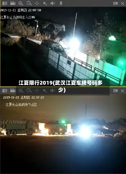 江夏限行2019(武汉江夏车牌号码多少)