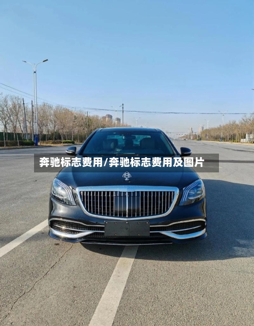 奔驰标志费用/奔驰标志费用及图片-第2张图片