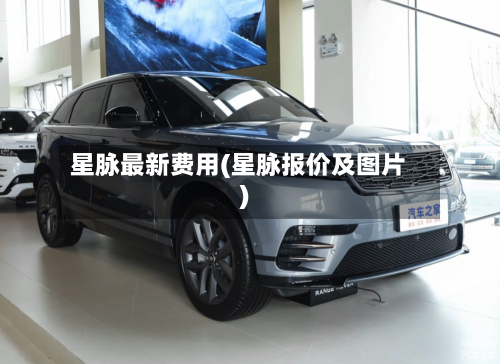 星脉最新费用(星脉报价及图片)-第2张图片
