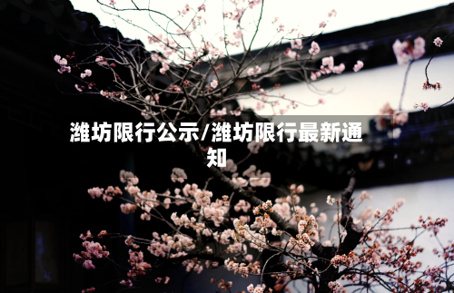 潍坊限行公示/潍坊限行最新通知-第2张图片