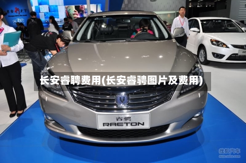 长安睿聘费用(长安睿骋图片及费用)