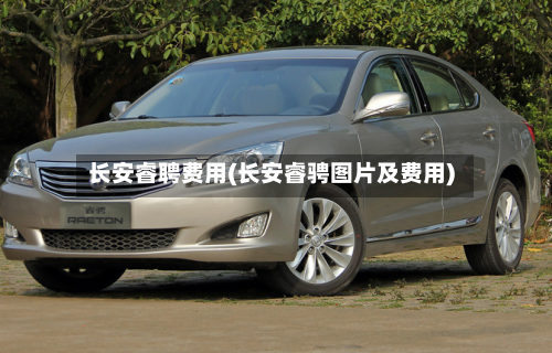 长安睿聘费用(长安睿骋图片及费用)-第2张图片