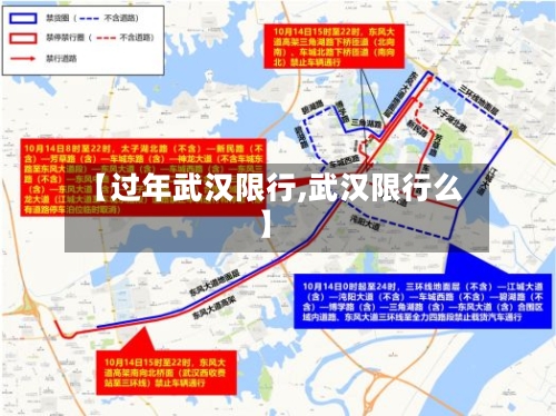 【过年武汉限行,武汉限行么】-第3张图片