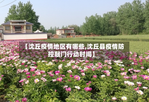 【沈丘疫情地区有哪些,沈丘县疫情防控敲门行动时间】