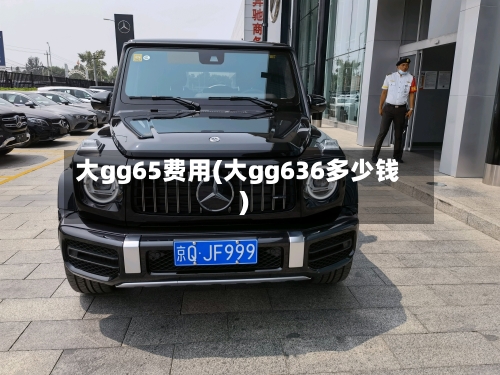 大gg65费用(大gg636多少钱)-第2张图片