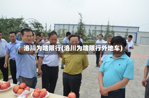 洛川为啥限行(洛川为啥限行外地车)-第2张图片