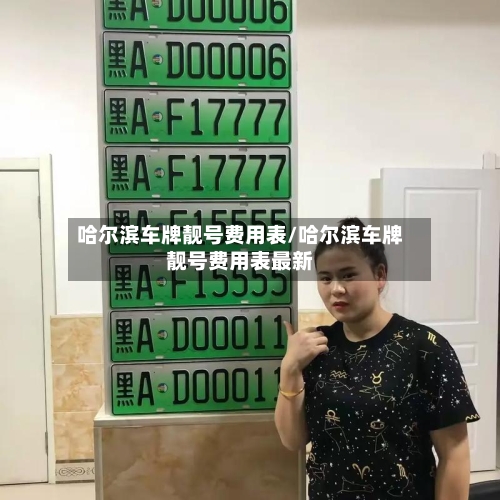 哈尔滨车牌靓号费用表/哈尔滨车牌靓号费用表最新-第3张图片